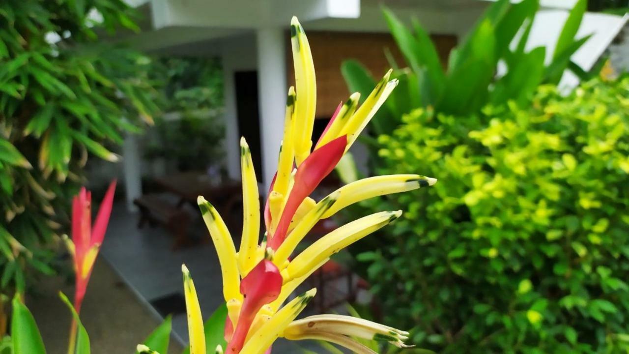 Sunbeam Villa Tangalle Bagian luar foto
